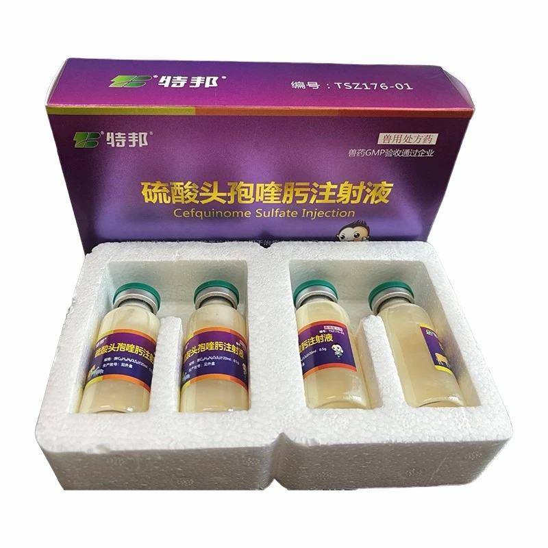 product-800-800 product-800-800